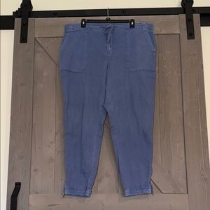 Sonoma Blue Jogger Pants